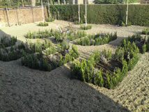Landscaping Airdrie 