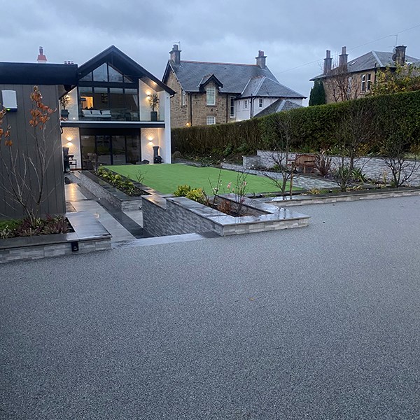 Driveway To House Portrait