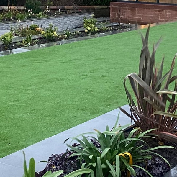 Artificial Grass